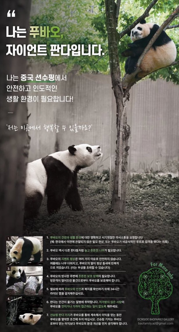 fufu_bao_love's tweet photo. 푸바오의 행복을 위해 의심하고 참았지만 너네들의 행태에 질려서 계속 요구할 거다
@ipandacom @hunantvchina #CCRCGP #福宝想爬树 #SAVEFUBAO https://t.co/8IqAcvlmCt