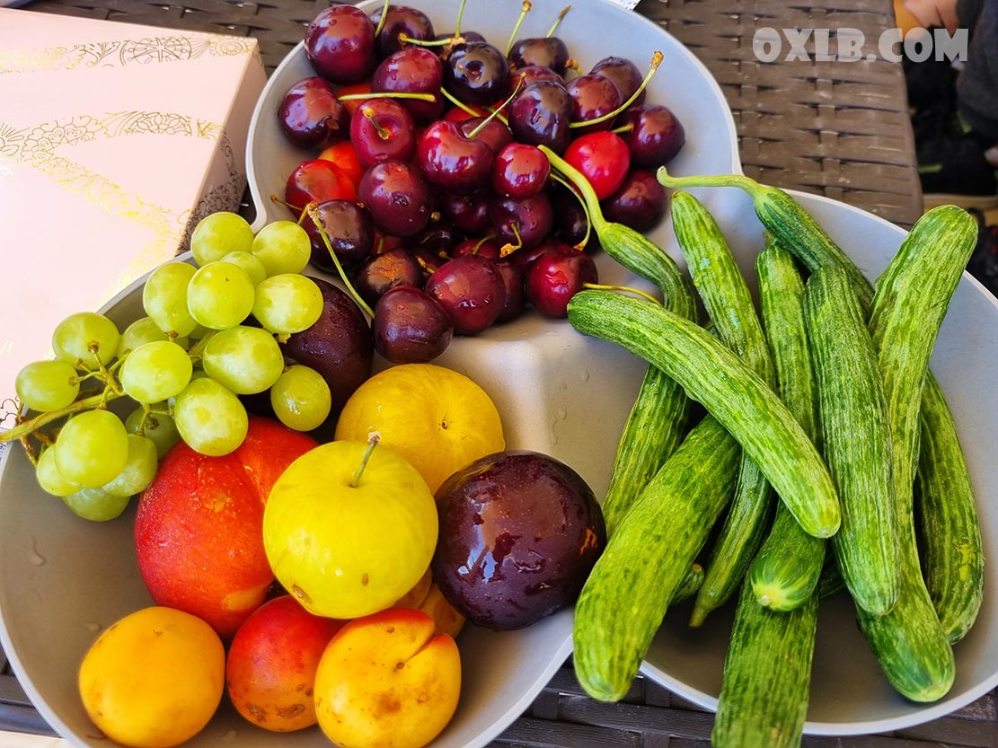 onefineart's tweet photo. I will end my tour in Hasroun with these two photos showing a girl's hobby and plates of fruits and legumes
Visit https://t.co/QupEaHtcuw
#tour #lebanon #lebanontour #discoverlebanon #hasroun #lebanonphotos #girl #hobby #lebanonfruit #legumes https://t.co/leOxZcvKo5