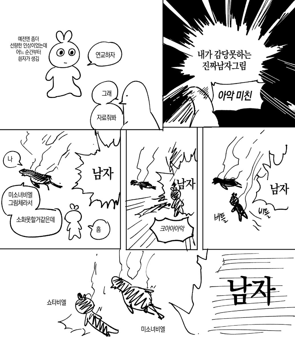 비엘그림체의 한계에 대한 어쩌고