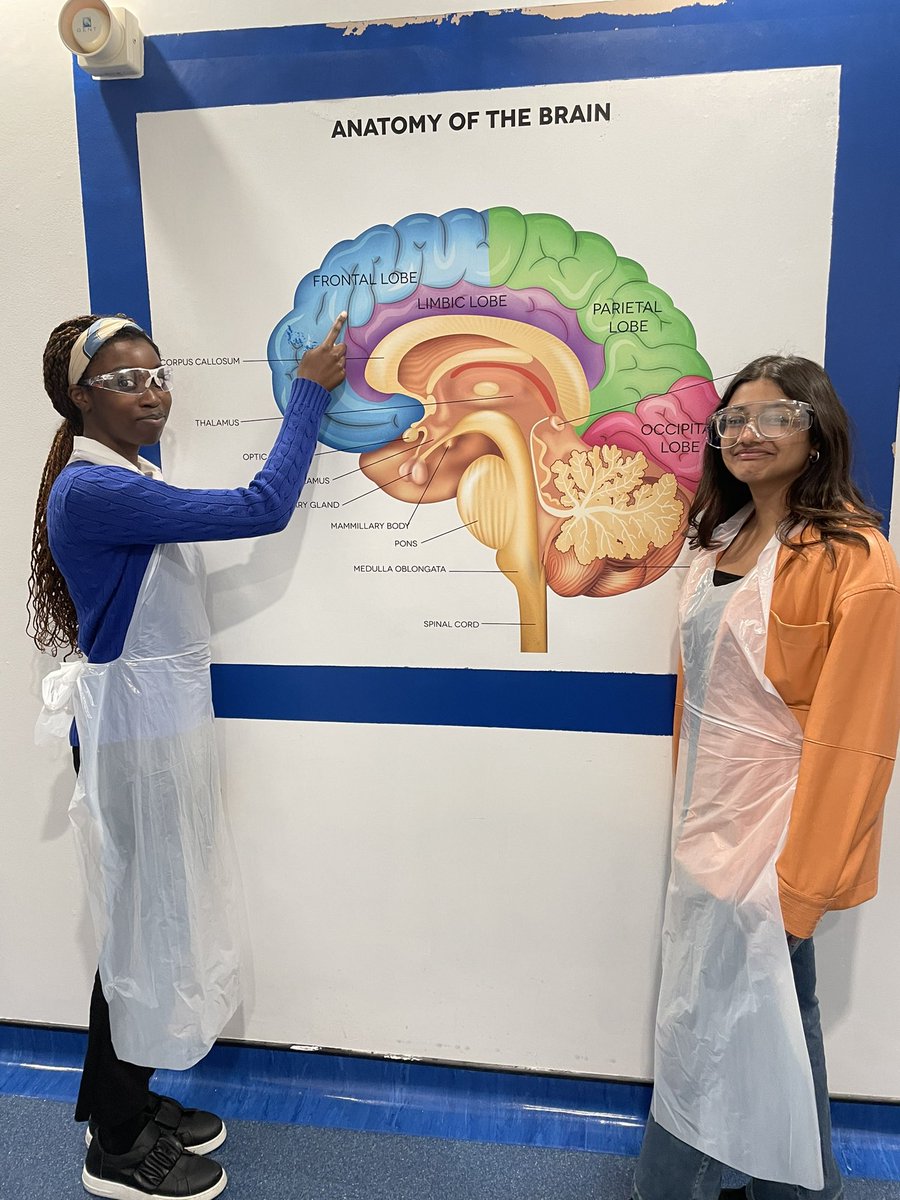 Notaceleriac tweet media