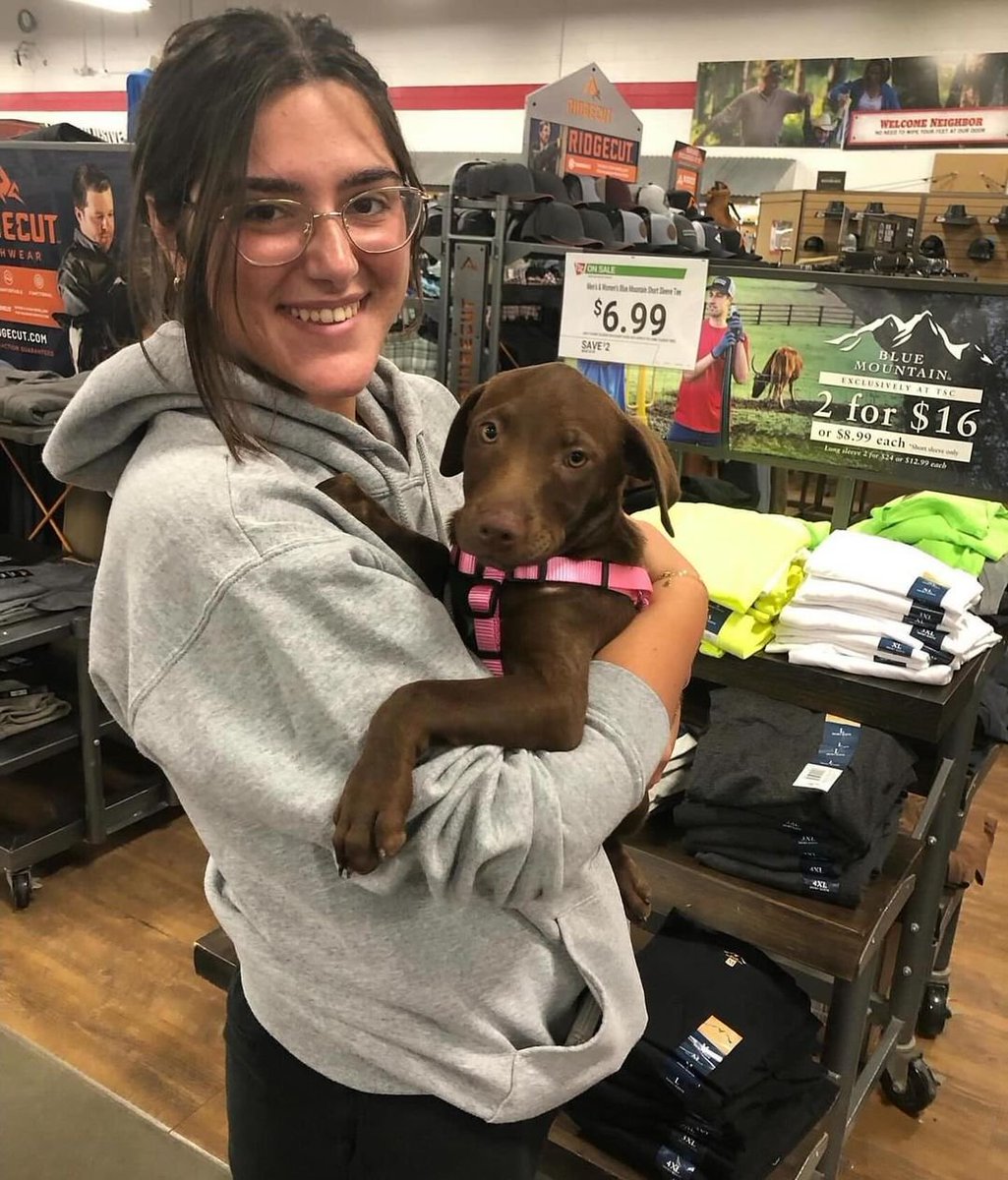 RescueSoco's tweet photo. Alumni Update - Jinx, now Harper!
"Thank you guys again for everything, she’s been nothing but the absolute best!  She’s such a smart girl and getting the hang of things so quickly!
She’s the best puppy girl we could ask for!" 1/2 https://t.co/oS44Rke1Lo