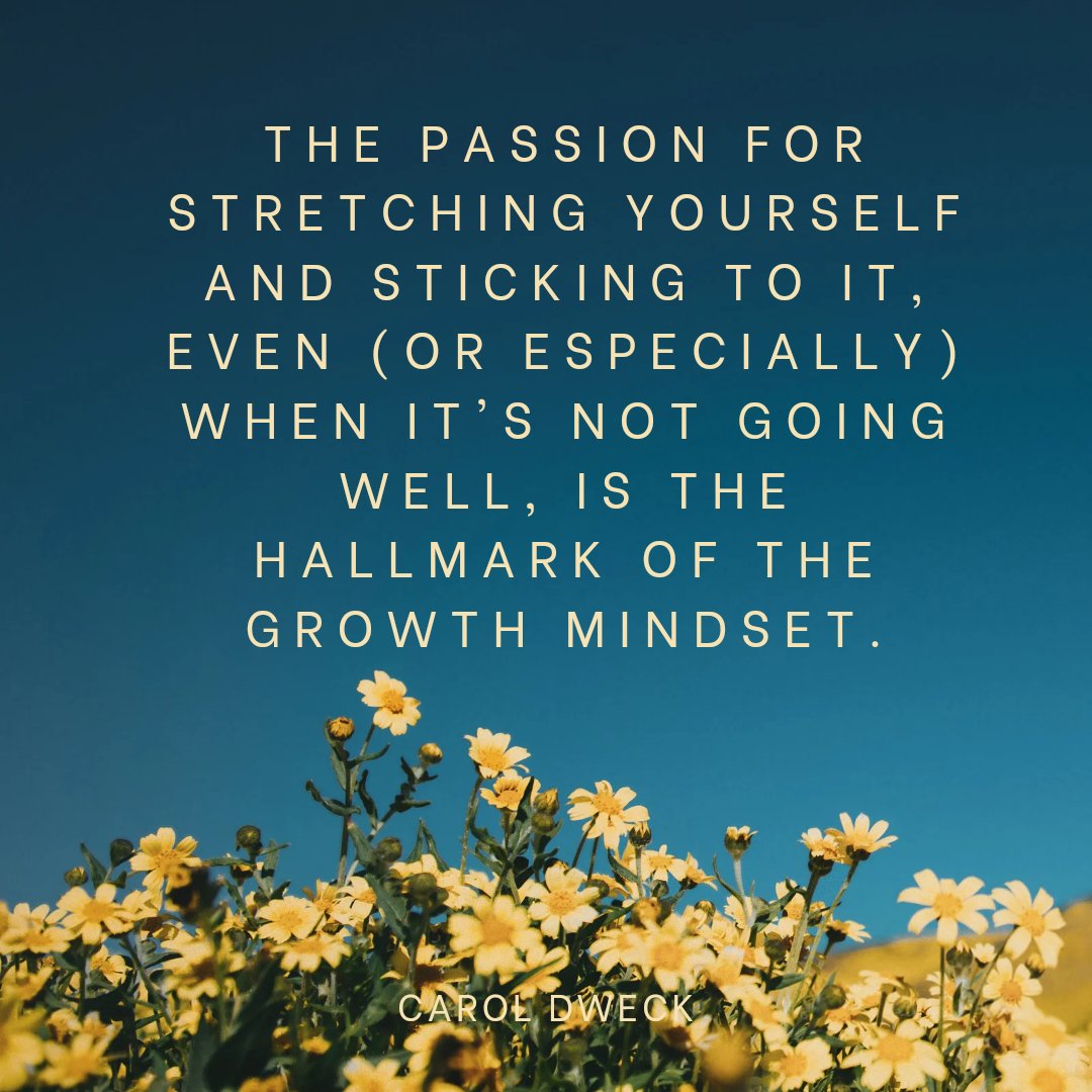 DanicaDreamer's tweet photo. Happy Tuesday! #tuesdaytransformation #stretchyourself #learnfromyourmistakes #keeptrying #dontgiveuponyourdreams #pursueyourpassion #stayfocusedstaystrong #danicadreamer https://t.co/7mtRAGiP9X