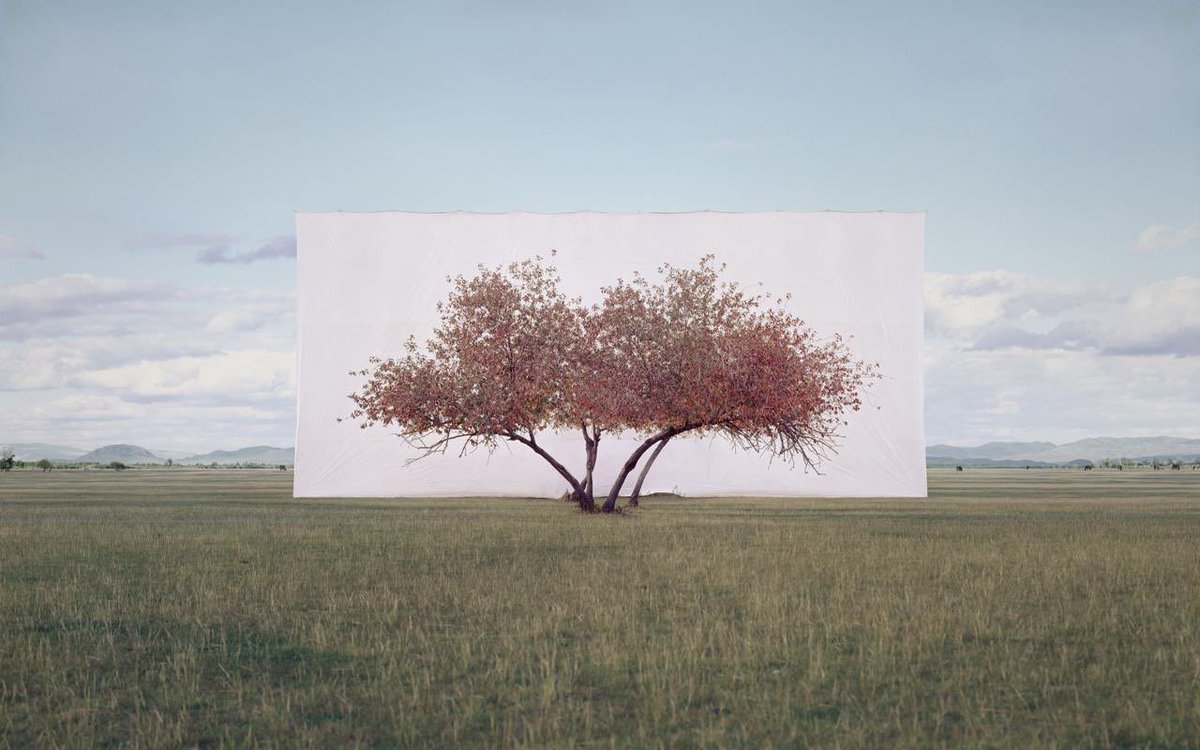 degreesnot's tweet photo. Stay focused.

Trees Abroad
© Myoung Ho Lee

/\/\/ ° https://t.co/2ihrwGdYaE