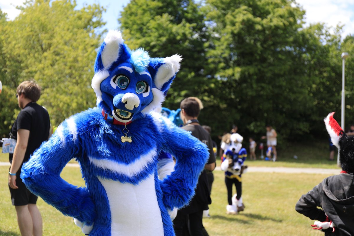 Dog in a park 🐶

📸: Deroo