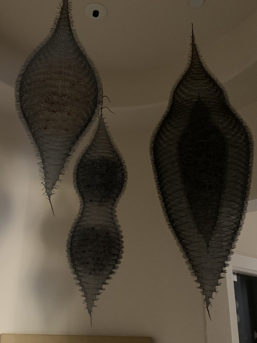 HuisJoyce's tweet photo. @DailyPicTheme2 #multifacited. Artist Lanny Berger. Shapes within shapes. These are wire mesh https://t.co/3rn6pO47PO