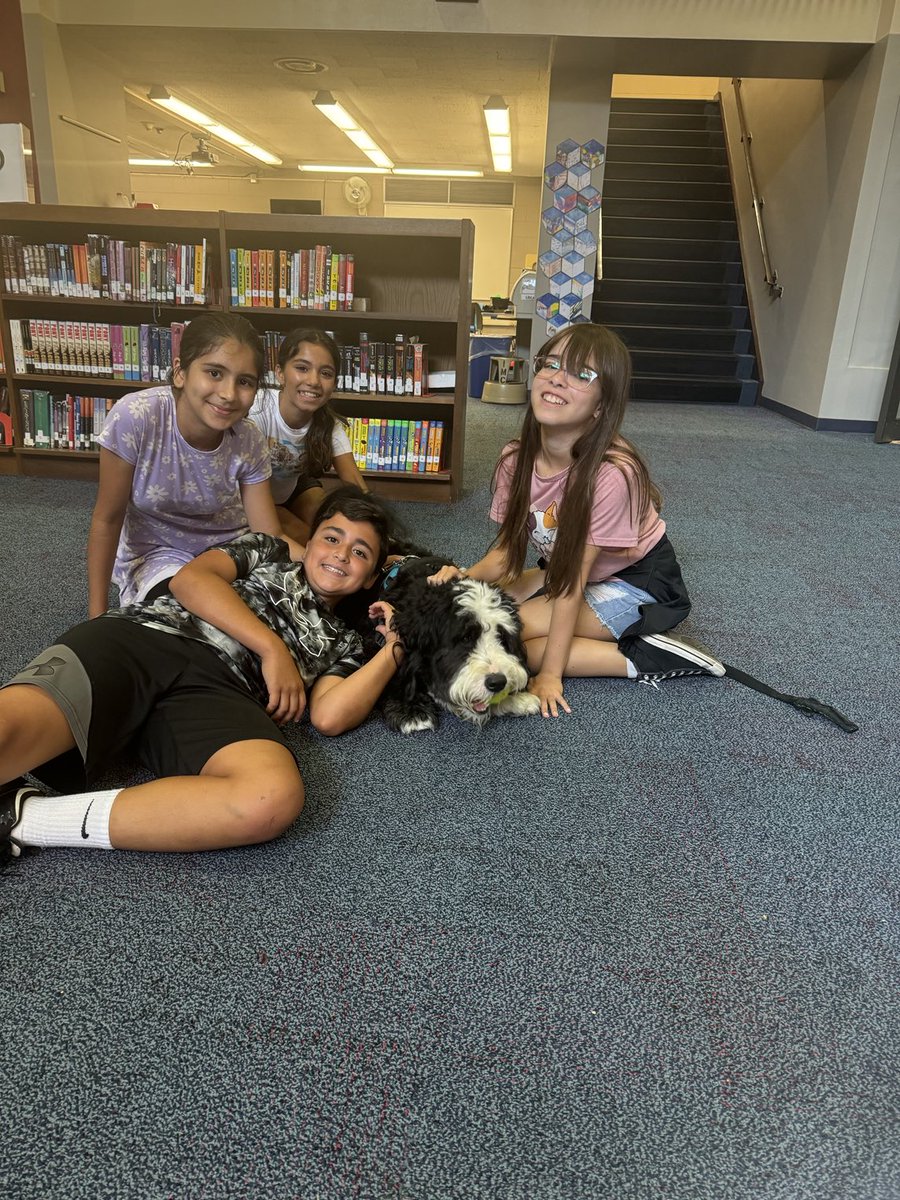 Archie THE Therapy Dog tweet media