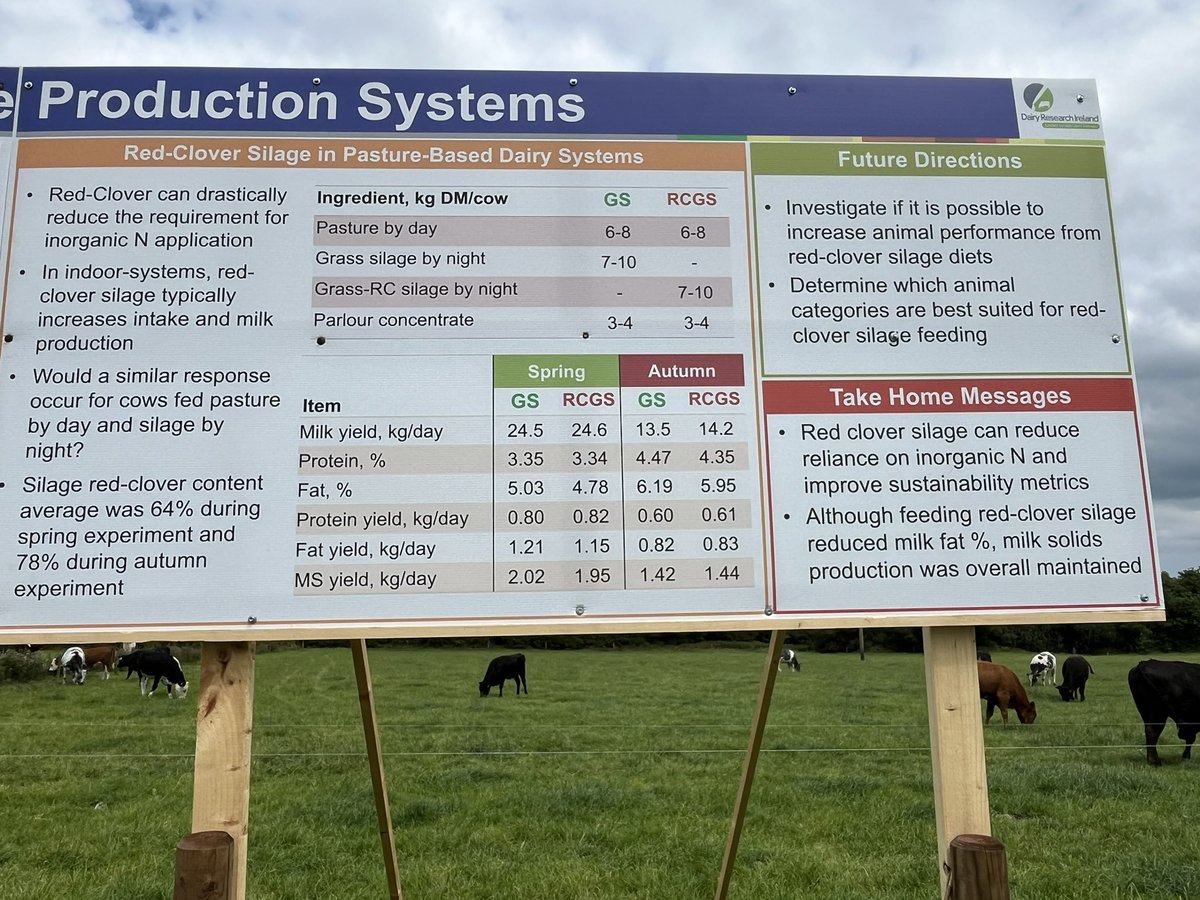 Red clover silage can reduce reliance on inorganic N and improve sustainability metrics.