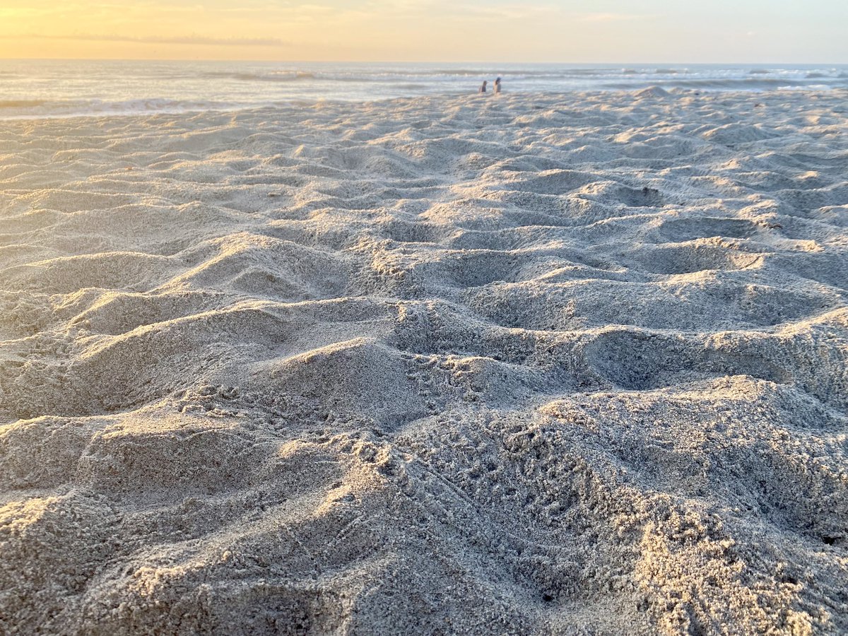 proteocean's tweet image. This is worth protecting.