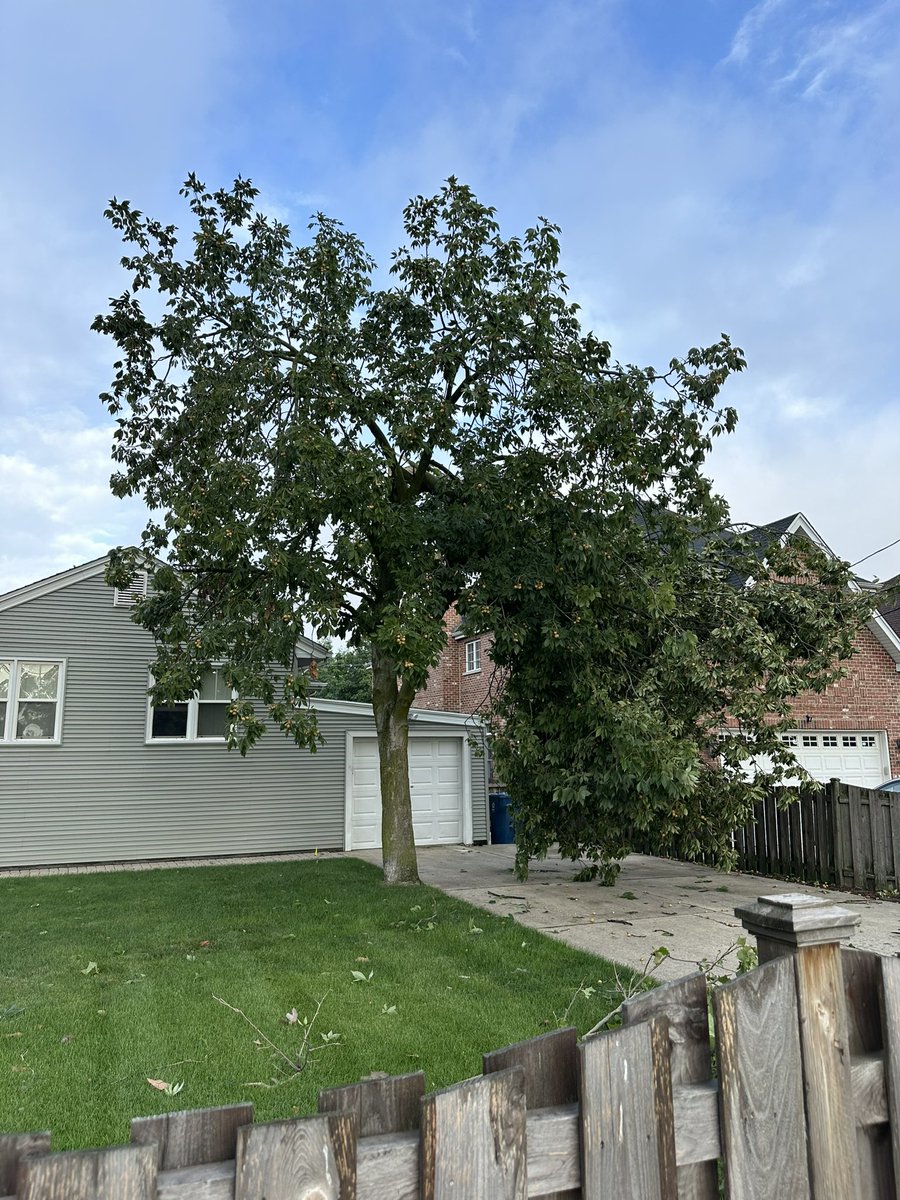 dwelz's tweet photo. @NWSChicago Interesting northward path of debris and minor damage for about 8 houses starting at my house (ripped the top of our tree off) then knocked over fences. Elmhurst. https://t.co/xqyGOX6k7R