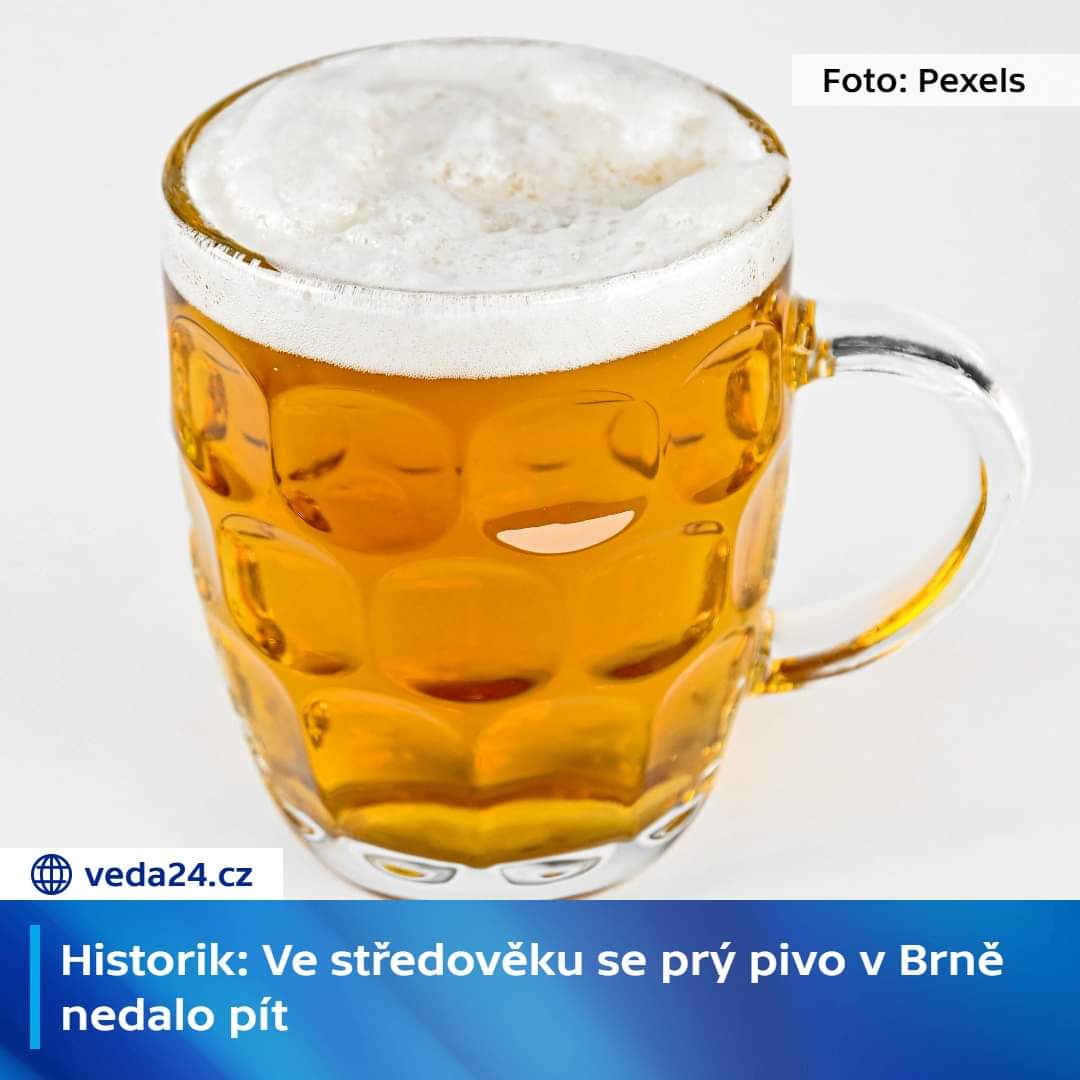 "Středověk neskončil, středověk trvá...."