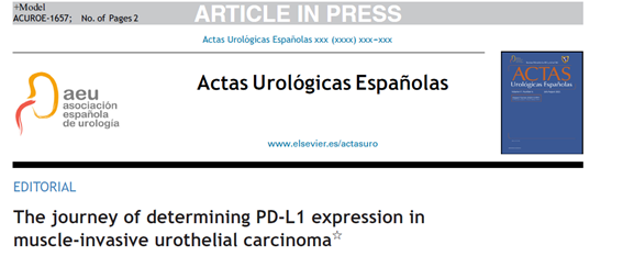 FPuigvert's tweet photo. Ferran Algaba Arrea, today in #PuigvertinScience, about Urologic #Pathology👇
“The journey of determining PD-L1 expression in muscle-invasive urothelial carcinoma:
Within the complex mechanism of antigen presentation to immune cells in order to destroy #neoplastic cells, the latter are protected by PD-L1 molecules and are therefore targets for #immunotherapy. Hence the determination of PD-L1 expression in tumor cells & immune cells is considered a marker for predicting treatment response.
👉In order to respond to all possible situations that may arise, now and in the future, the Spanish Society of #AnatomicPathology @SEAP_IAP gathered a group of pathologists, together with a uro-oncologist, to draw up a #guide of recommendations based on currently available evidence.
The questions I have tried to answer are:
🔘Which patients should be evaluated?
🔘Which sample is best for PD-L1 determination?
🔘Which antibody is best for invasive urothelial carcinoma?
🔘What to do if a first determination is negative?
🔘How should results be reported?”
🔗READ the article: https://t.co/484Tymr45y
**Dr. Algaba is a well-known expert and national coordinator of Urologic Pathology at @SEAP_IAP, Chief of Anatomic Pathology Lab of Fundació #Puigvert