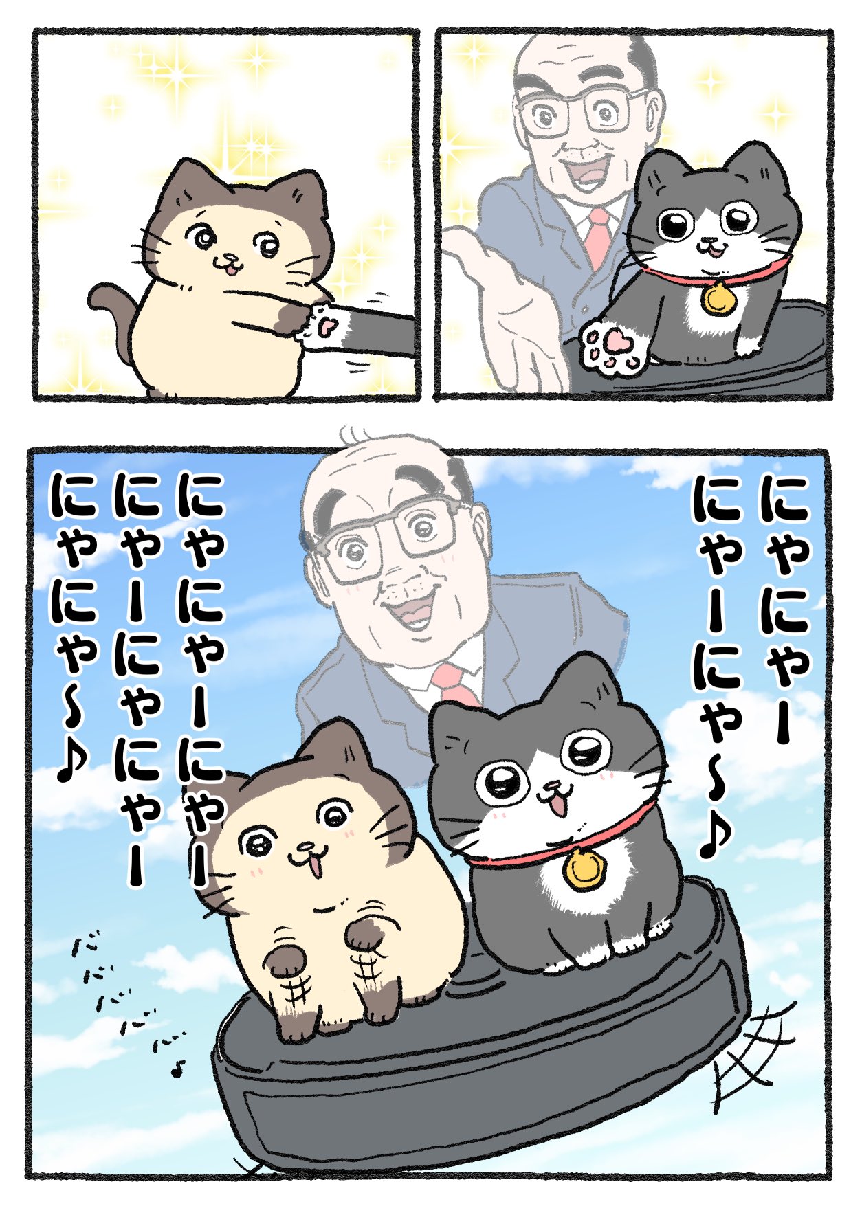 たま　ねこばば　帯なし にゃんたまサポーター！～80匹の譲渡が叶わない猫と暮らす旅館