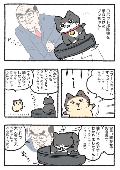 たしの猫 ねこに転生したおじさんぬいぐるみボールチェーン｜夢屋
