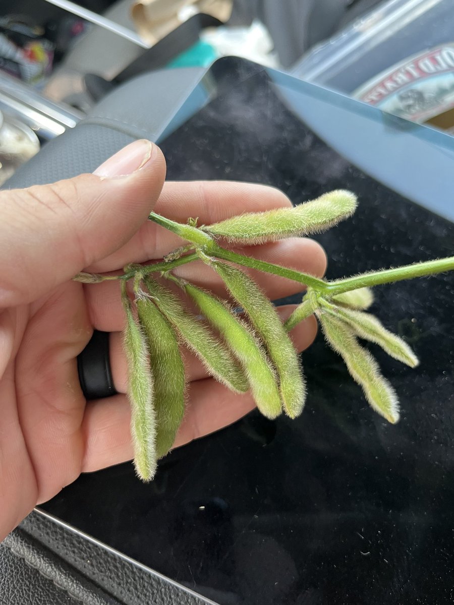 Jason Rudick tweet media