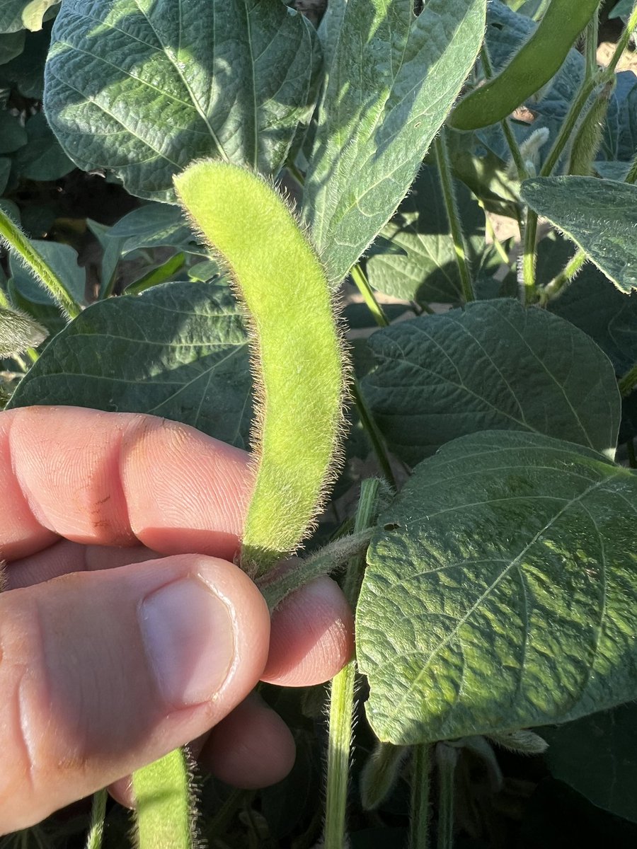 Jason Rudick tweet media