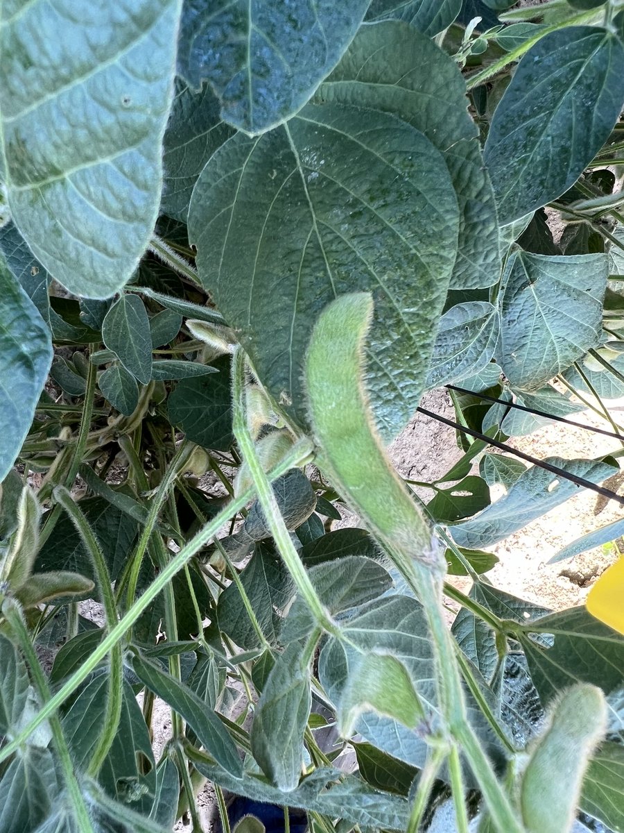 Jason Rudick tweet media