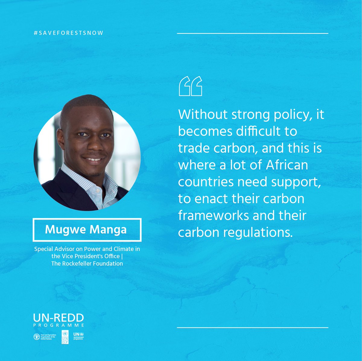 unredd's tweet photo. “Without strong policy, it becomes difficult to trade carbon, and this is where a lot of African countries need support, to enact their carbon frameworks and their carbon regulations”, @MangaMugwe

#SaveForestsNow https://t.co/ZxpK3NOTa1