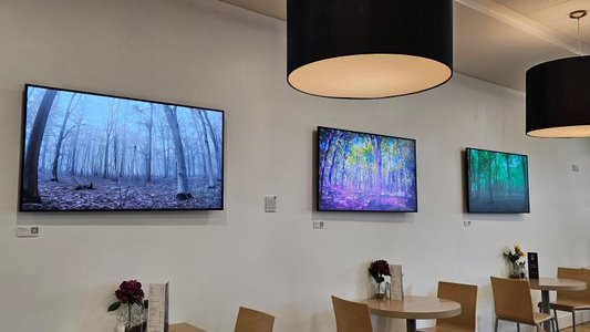 Enzo Roff tweet media