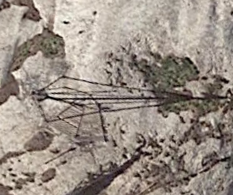 Carla Filt 🇸🇪 🇵🇱 🇺🇦 🇪🇺 tweet media