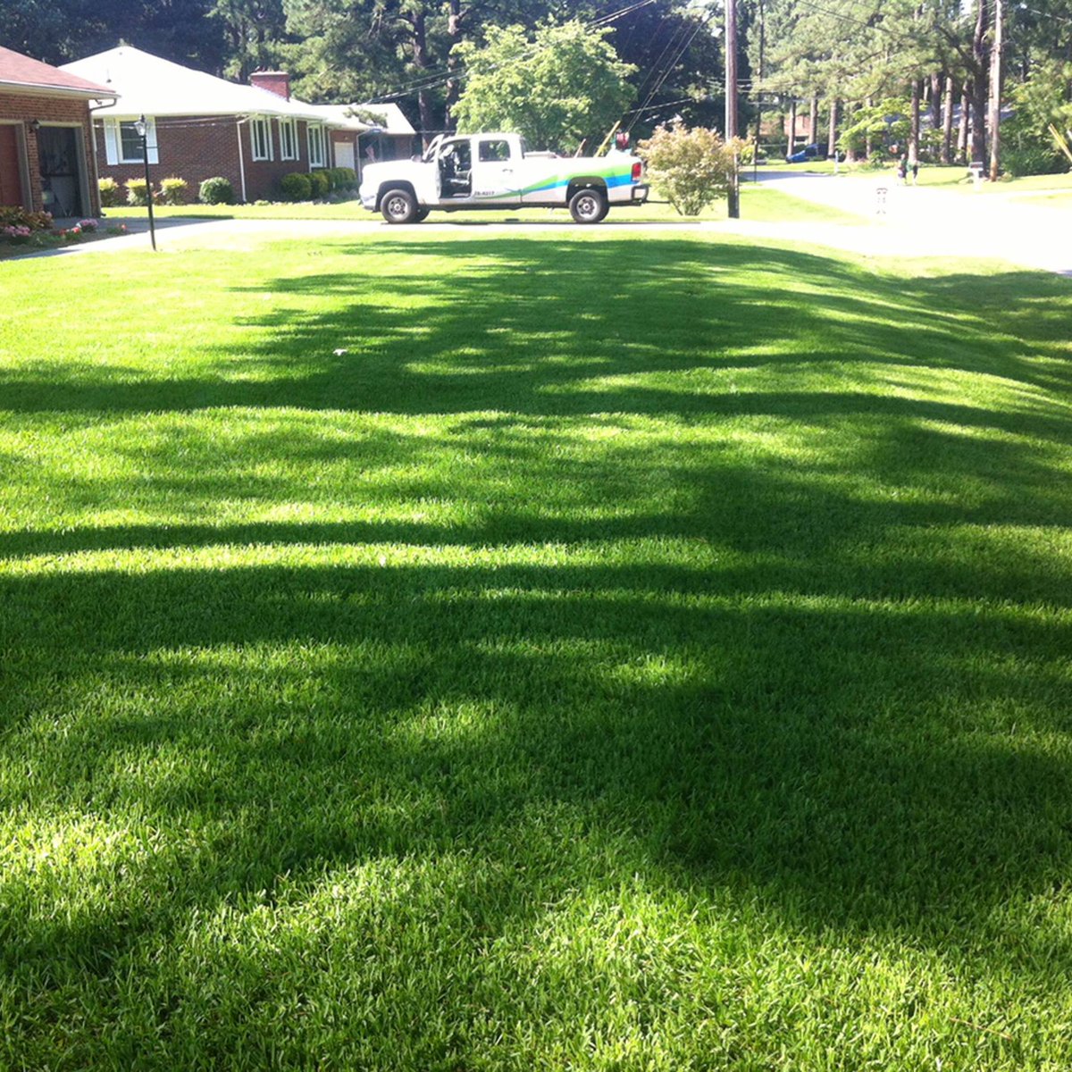 AquaMaxx seeds get the job DONE. 📷
Pre-treated with biological microbes, potassium, phosphate, phosphite, and calcium, this unique product grows lightning-fast into dense, resilient fescue.
Before                                        After AquaMaxx!