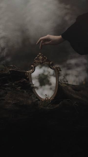 CERRADO. tweet media