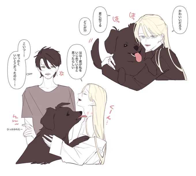 🐶とハリドラ 