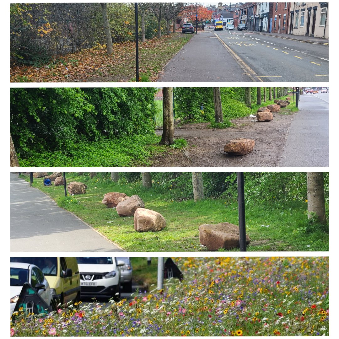 SrwtConnecting's tweet photo. The dream 🌱🌼🌸🪻🦋🐝 - let's do this! 💚
#watchpagehallgrow #vergereserve

@wildsheffield @theoutdoorcity @changingsheff @LandscapeSheff @sheffcitycentre  @BITC @pagehallhealth @FirValeSchool @RecoveryNature https://t.co/8nZtl0wBbU