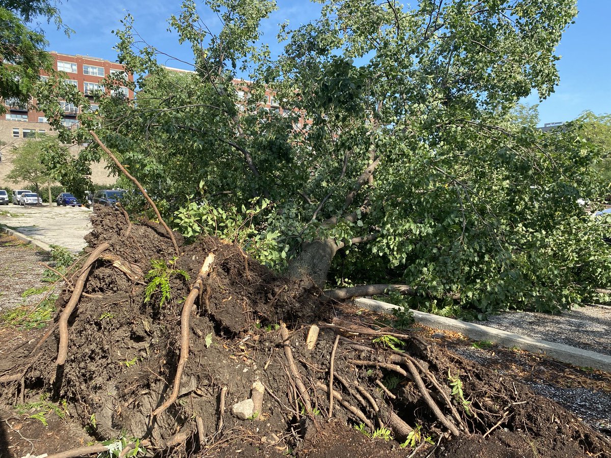 embartweets's tweet photo. Damage in and around Skinner Park from the tornado that went through West Loop Chicago last night. All pictures taken in a 2 block radius. @NWSChicago @nbcchicago @ABC7Chicago #ILWx https://t.co/z8WgvLZmFV