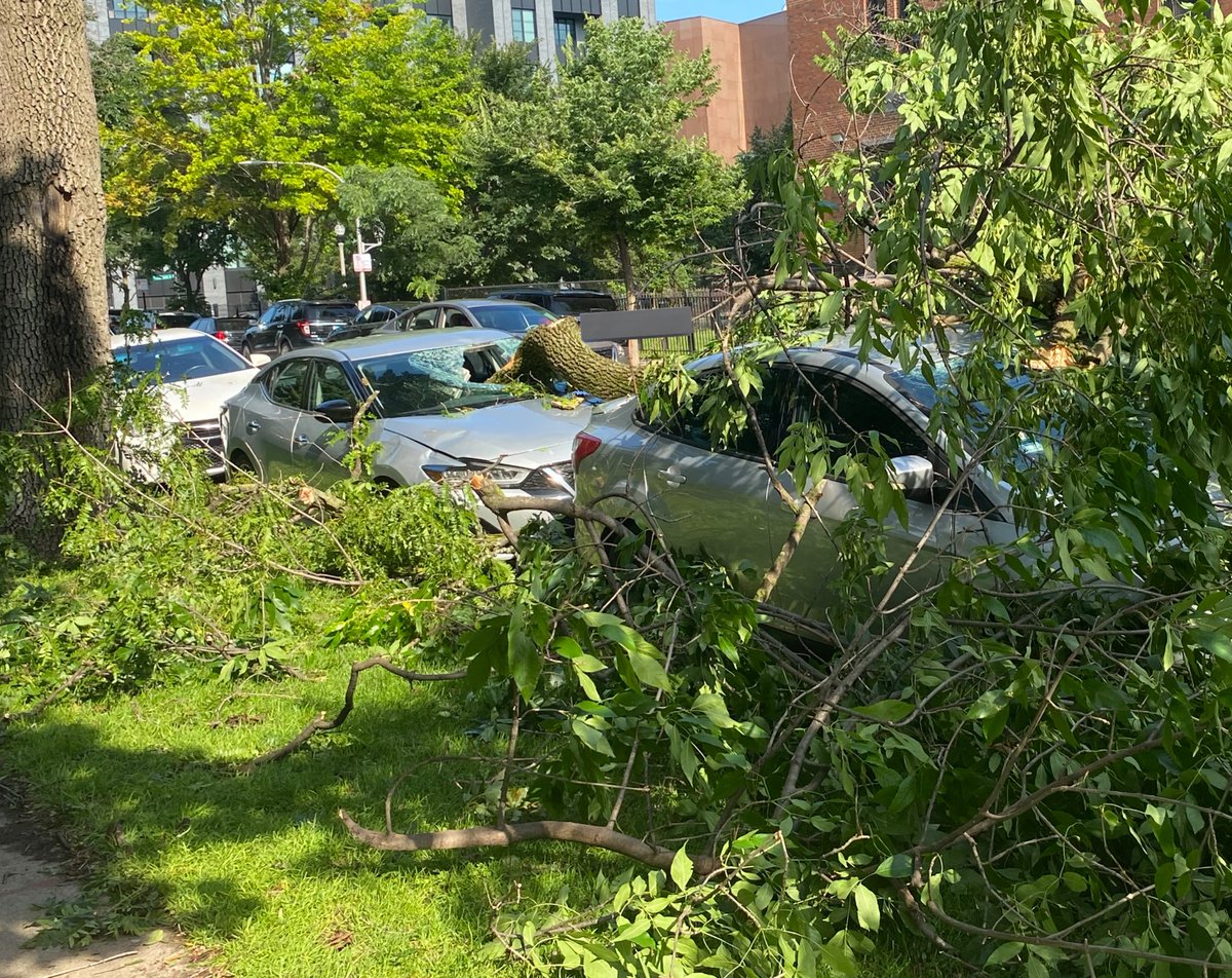 embartweets's tweet photo. Damage in and around Skinner Park from the tornado that went through West Loop Chicago last night. All pictures taken in a 2 block radius. @NWSChicago @nbcchicago @ABC7Chicago #ILWx https://t.co/z8WgvLZmFV