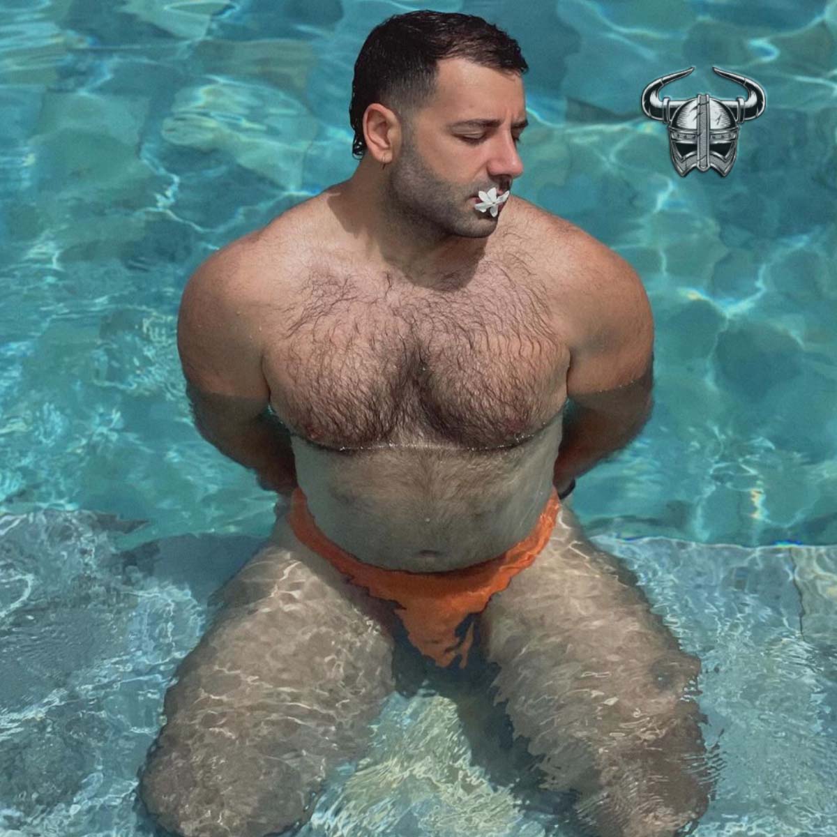 Helmet Grease tweet media