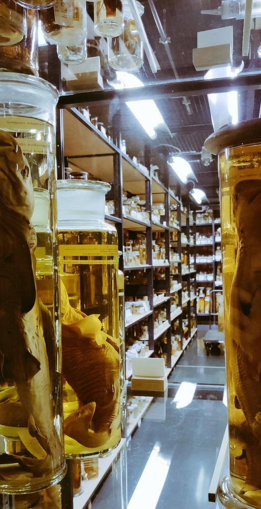 I had a truly amazing week with a group of  impressive and kind people @germanscholars leadership academy #LSA8. I learned a lot &amp; are excited to implement new strategies and tools. Another highlight was the private tour through @mfnberlin See you for part 2 in Heideberg!