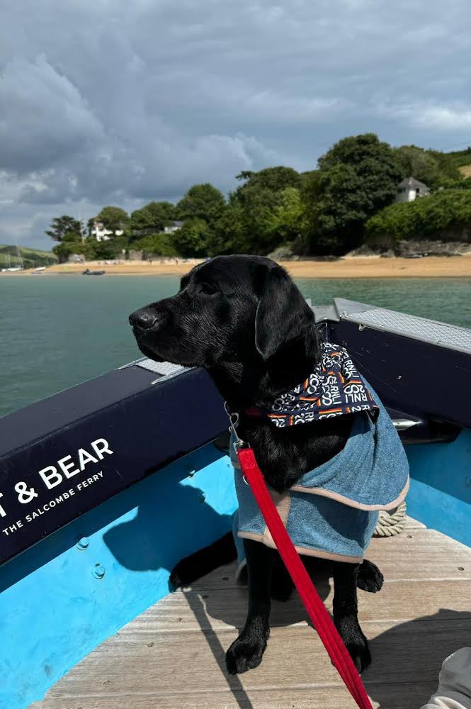 ServiceDogsUK's tweet photo. Otis is having the best time on holiday in Devon πΎβ€οΈ
He especially loved this boat ride, while sporting his @RNLI 200 neckerchief of course βοΈπ
Where is your favourite place in the UK to go on holiday?
#UKbreak #devon #ukholiday #assistancedog #servicedogs #rnli #rnli200 https://t.co/vg5yZADgKa