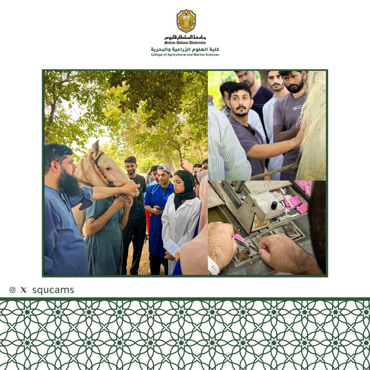 squcams's tweet photo. شارك مجموعة من طلبة قسم علوم الحيوان والبيطرة في برنامج تدريبي في جامعة الزراعة بفيصل أباد بجمهورية باكستان، ويعتبر هذا البرنامج جزء من ساعات التدريب المعتمدة. وقد تم تدريب الطلبة في أقسام الجراحة والتكاثر والأشعة والألبان ومختبر الأمراض ومختبر تحليل الألبان. https://t.co/JUZtQ4282P