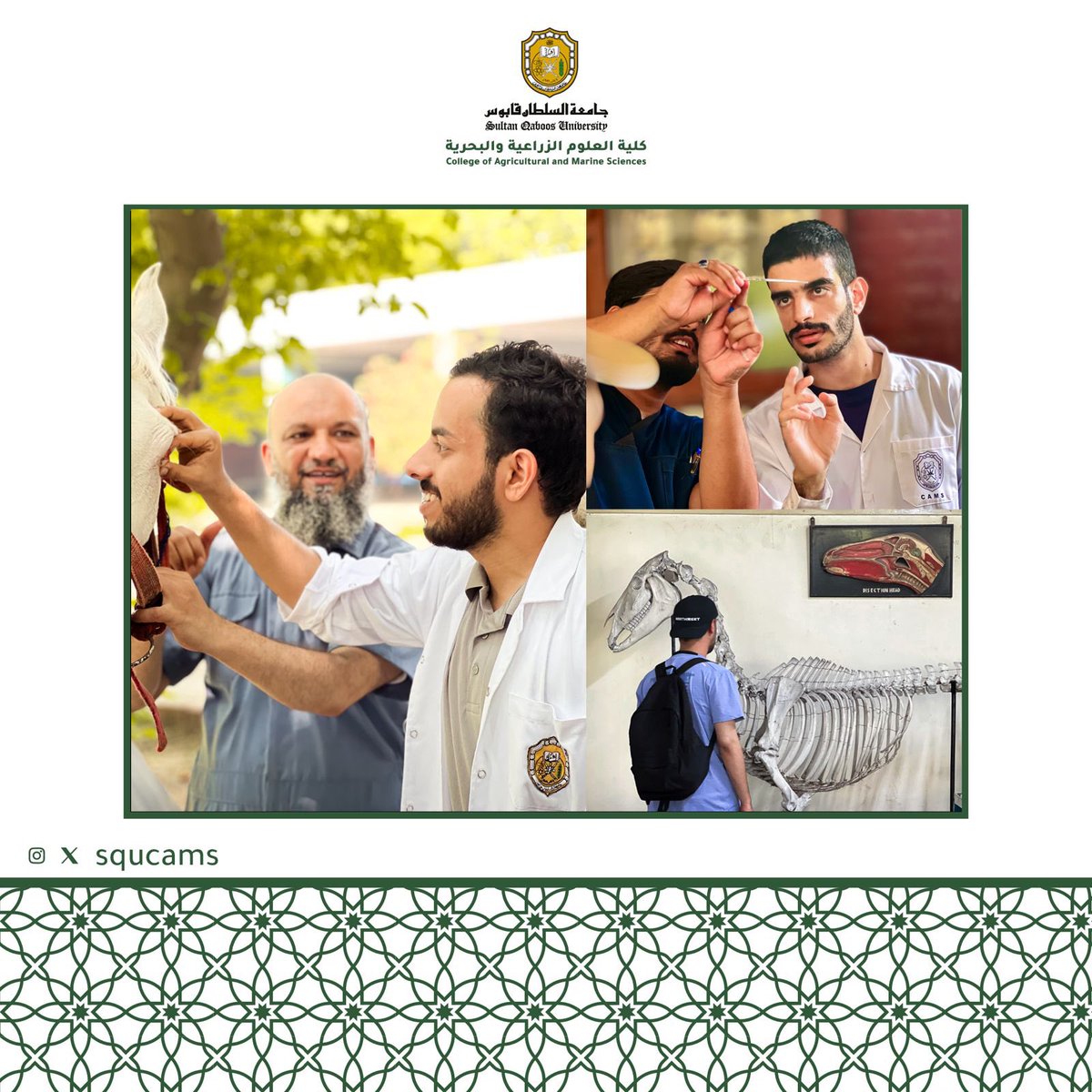 squcams's tweet photo. شارك مجموعة من طلبة قسم علوم الحيوان والبيطرة في برنامج تدريبي في جامعة الزراعة بفيصل أباد بجمهورية باكستان، ويعتبر هذا البرنامج جزء من ساعات التدريب المعتمدة. وقد تم تدريب الطلبة في أقسام الجراحة والتكاثر والأشعة والألبان ومختبر الأمراض ومختبر تحليل الألبان. https://t.co/JUZtQ4282P