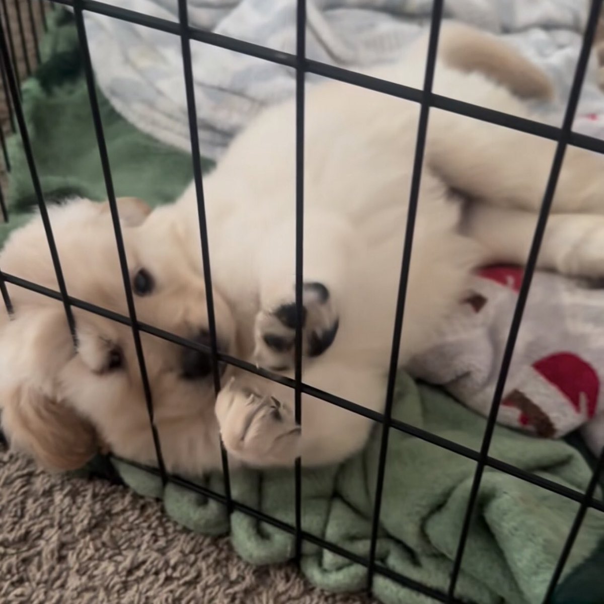 ทำไมเค้านอนกับเทอไม่ได้ นอนตุวเดวเค้าจะฝันร้าย