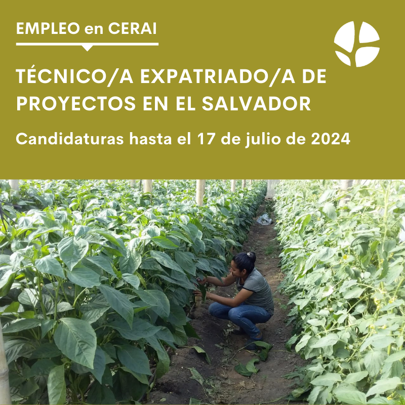 🚨 ¡Última oportunidad para que te presentes a estas dos ofertas de #empleo!

💻 Técnico/a de proyectos de #cooperación internacional: cerai.org/tecnico-a-sede…

🌎 Técnico/a expatriado/a de proyectos El Salvador: cerai.org/tecnico-a-expa…

¡Envía tu candidatura hasta mañana, 17/07!
