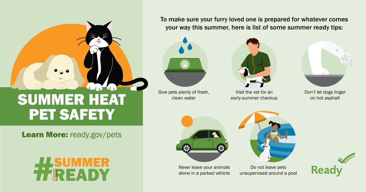 AlabamaEMA's tweet image. Even with the windows rolled down, only minutes in a hot car can be deadly for your pet! NEVER leave your pets in the car! #PetPreparedness #HeatSafety