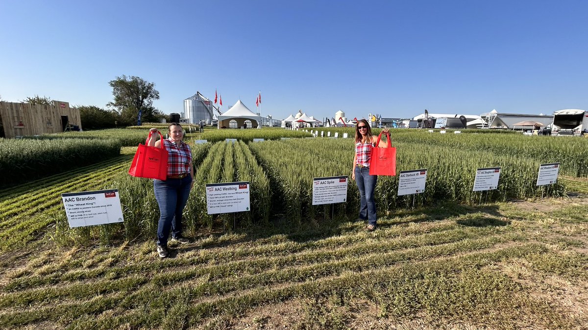 Come out to <a href="/AginMotion/">Ag in Motion</a> and stop by booth 378 to grab your free SeCan bag! 

#GenesThatFitYourFarm 🧬
#CanadasSeedPartner 🇨🇦