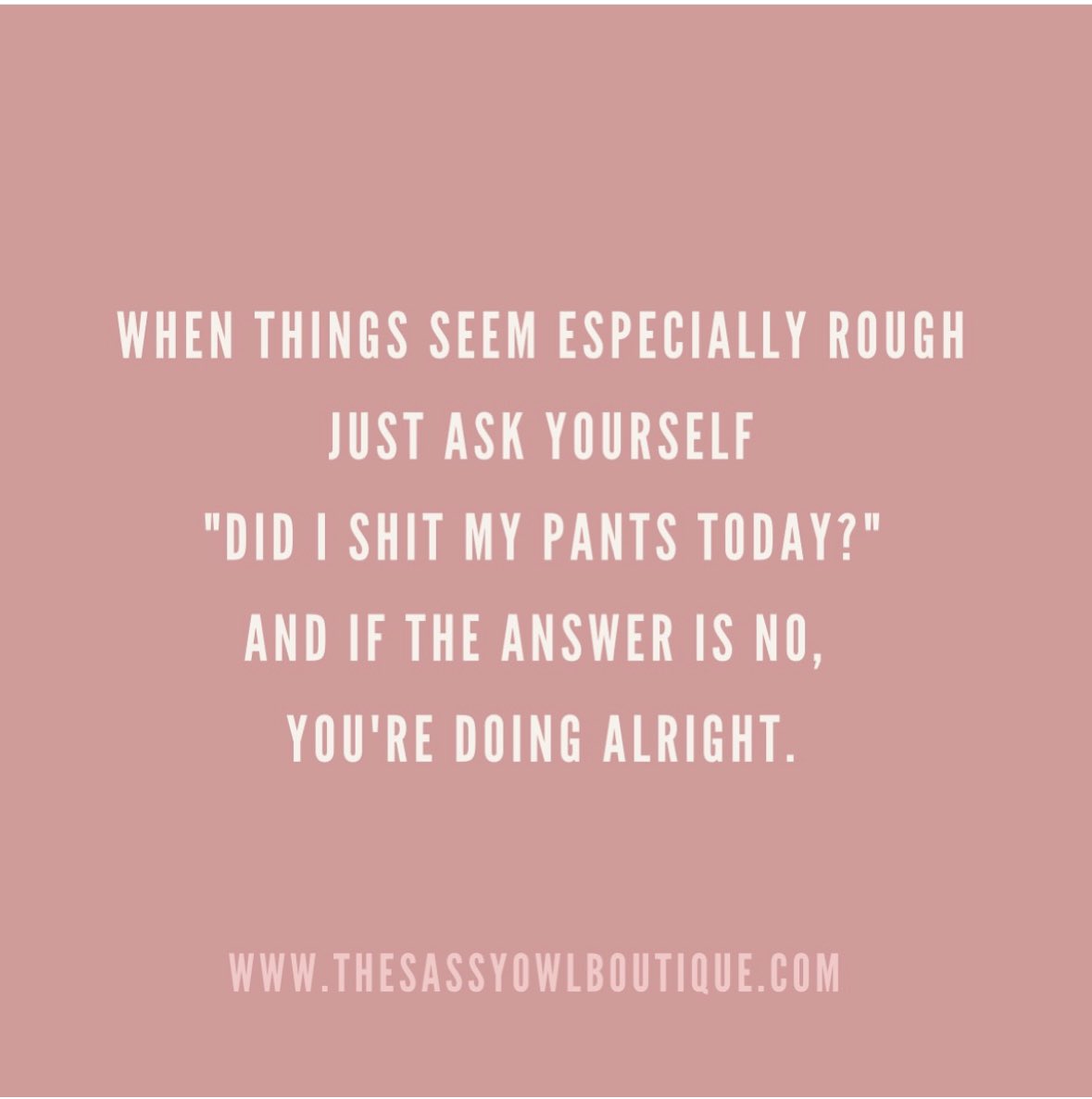 SJane#239 tweet media