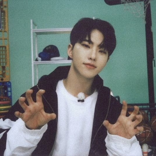 _glossyoonie's tweet photo. ᯓ★ horanghae to the 🌙 and to 🪐

#CSD #CaratSelcaDay #HOSHI #호시 #SEVENTEEN @pledis_17 https://t.co/aRRnJvYgID