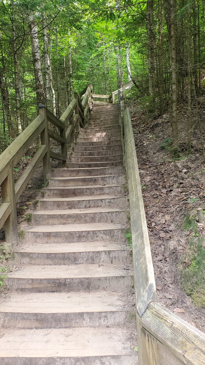Oh C#!p forgot at the end of the day 168 steps up from the falls
