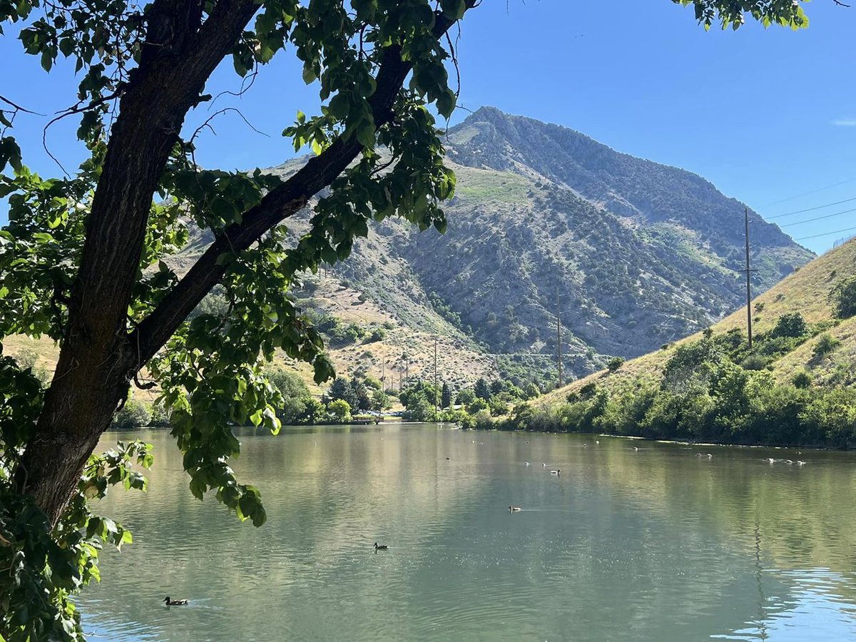MsKimmyThompson's tweet photo. To love at all
is to be
vulnerable.
-CS Lewis
#poem #summerdays #mountains #utah #loganutah #firstdam #happiness #cslewis #poem #positivevibes https://t.co/vhRDFSdEvq