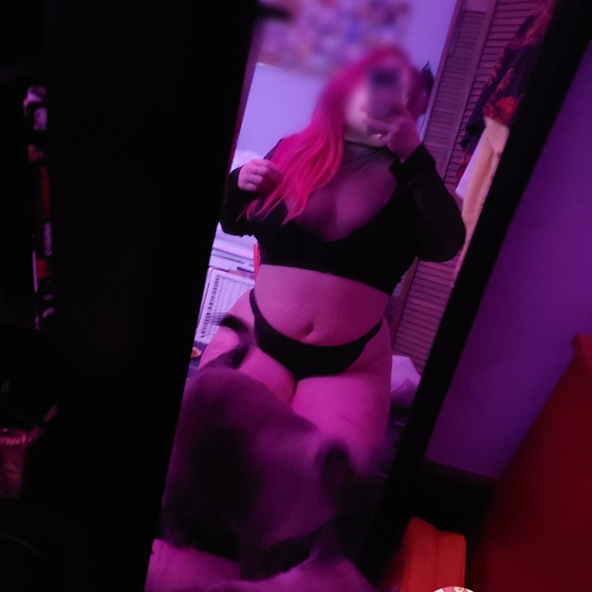alienqueenkat's tweet photo. When you're tryna whore it up but your cat wants attention 😒 https://t.co/XOwugHre4l