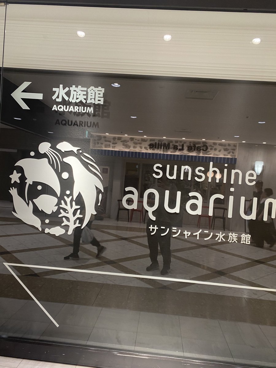 マカオ🇲🇴アランシュウ(一緒に日本語と日本についての理解を深めましょう) tweet media