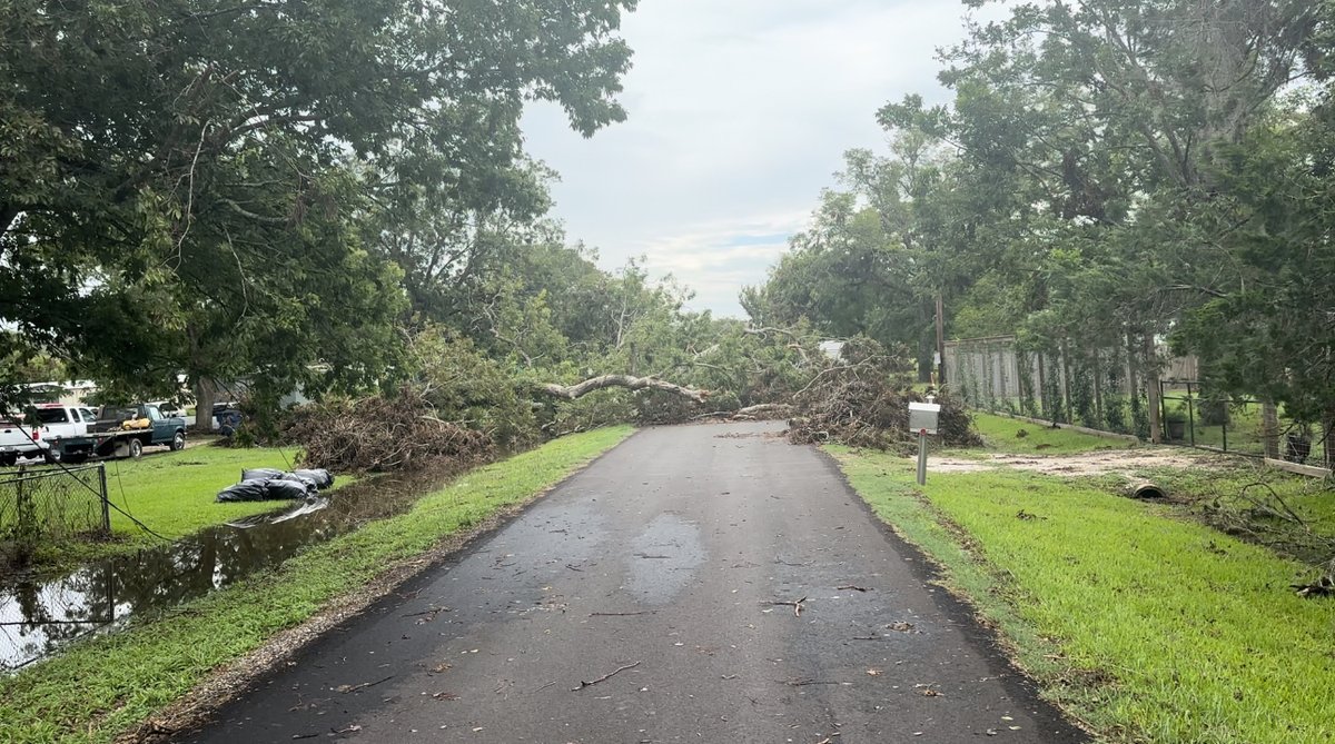 TexansOnMission's tweet photo. Hurricane Beryl destroyed trees and homes as it made its way through Brazoria County, and Texans on Mission volunteers are helping pick up the pieces.

#hurricaneberyl #hurricane #brazoriacounty #texasstrong #relief #texansonmission #TBM #SBDR https://t.co/u5lg6Vy314