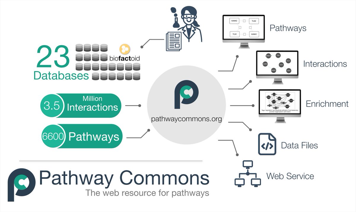 Pathway Commons (@pathwaycommons) on Twitter photo Version 14 of Pathway Commons is online! Over 6 600 pathways, 3.5 million interactions from 23 sources including author-curated data from <a href="/biofactoid/">Biofactoid</a>. Visit biofactoid.org to add your published research findings to Pathway Commons! #pathways pathwaycommons.org Version 14 of Pathway Commons is online! Over 6 600 pathways, 3.5 million interactions from 23 sources including author-curated data from <a href="/biofactoid/">Biofactoid</a>. Visit biofactoid.org to add your published research findings to Pathway Commons! #pathways pathwaycommons.org