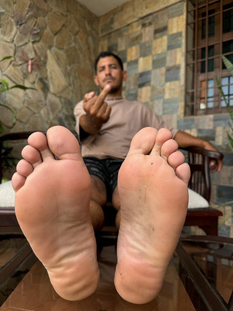 ALPHA Leonardo tweet media