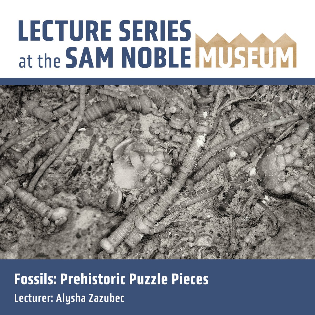 Attention, fossil enthusiasts! 🦕🌿 
Tomorrow at noon, join us at the Sam Noble Museum for a free lecture titled “Fossils: Prehistoric Puzzle Pieces!" Alysha Zazubec will delve into the fascinating world of fossils and ancient life.