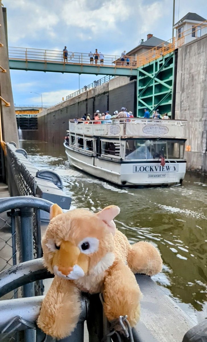 Colson Elementary tweet media