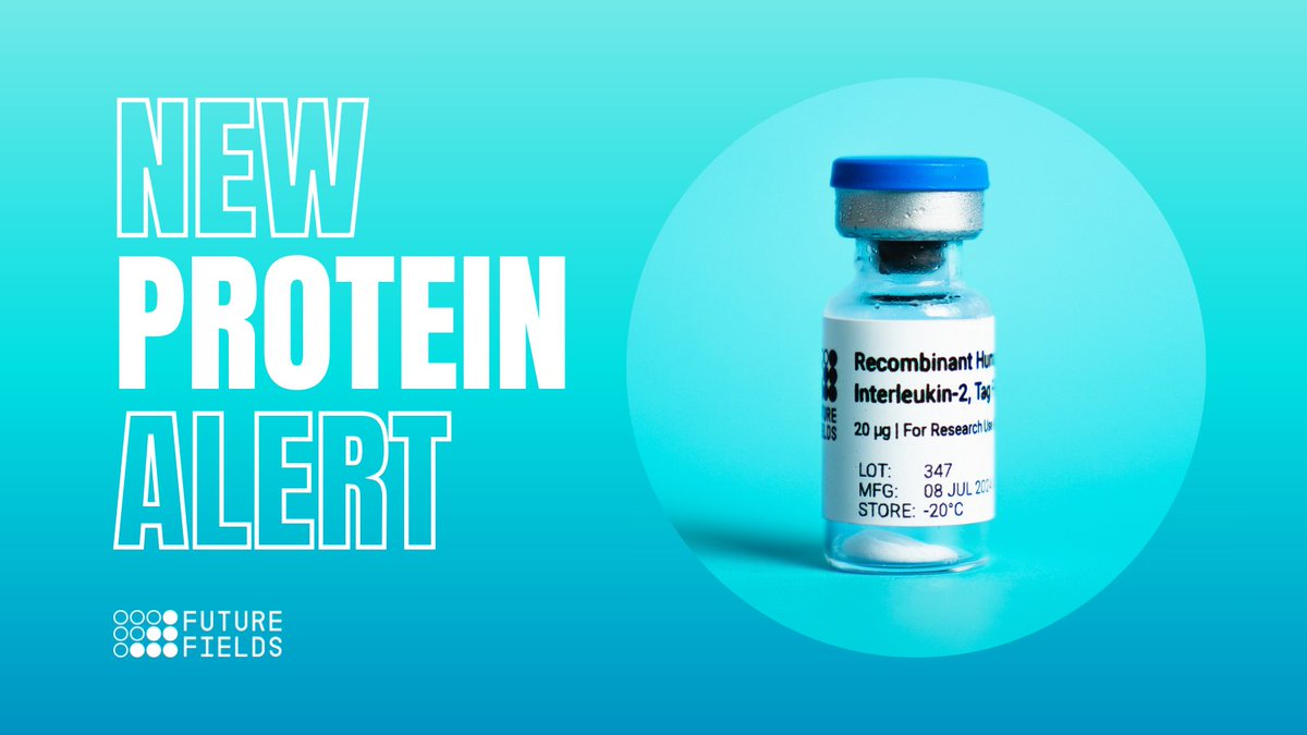 Announcing our latest product: Recombinant #Interleukin-2! 💙

Our #IL2 is now available for research use. Supporting the pioneers of novel immunotherapies, we're thrilled to play a part in the growing fields of #CART, #CARNK, #TIL, and more.

View here 👉 bit.ly/4f7Jo4j
